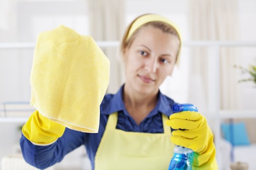 Close-up of upholstery cleaning tools and fabric care supplies