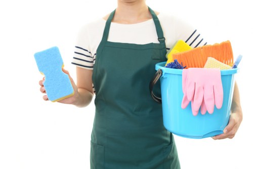 Sofa cleaning process in a bright living room