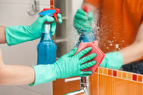 Household carpet cleaning for stains and pet messes