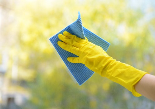 Professional cleaner treating a carpet stain in Belsize Park