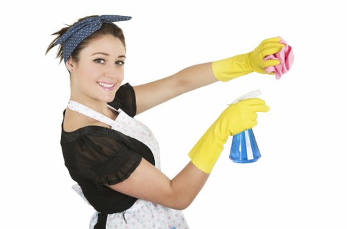 Regular upholstery care and sofa maintenance schedule