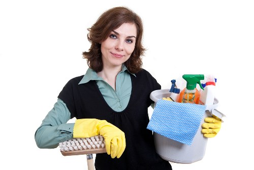Homeowner treating lingering pet odour in upholstery