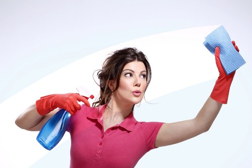 Deep cleaning carpet for pet stain odour removal